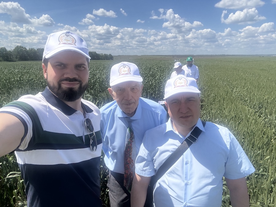 Ученые ВНИИК обсудили тритикале