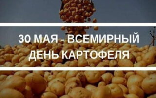 Состоялось празднование Дня картофеля - 2026