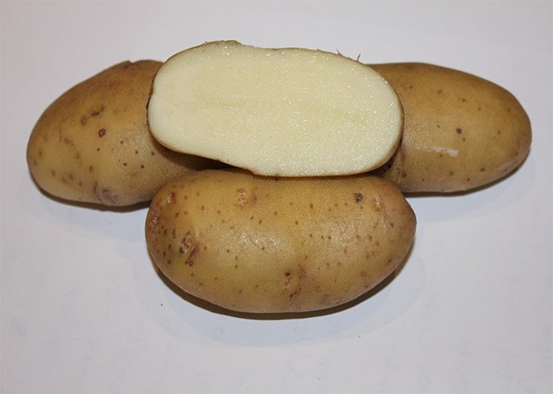Картофель: сорт Фрителла
